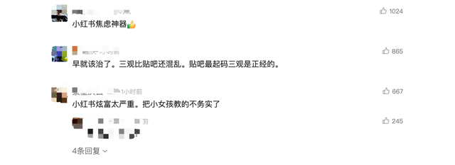 小红书回应被查：将深刻吸取教训