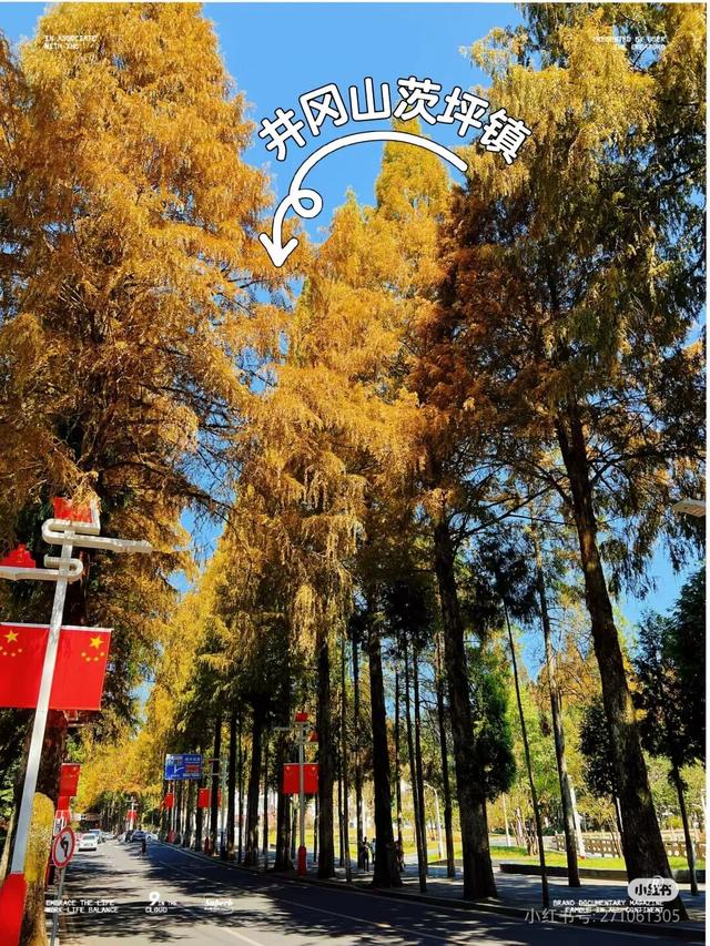 今日立冬！接下来~你就能看到这样的井冈山！