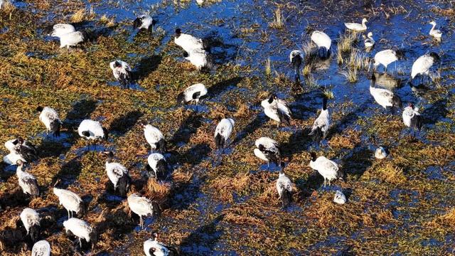 为什么冬天要来毕节？这就是答案→