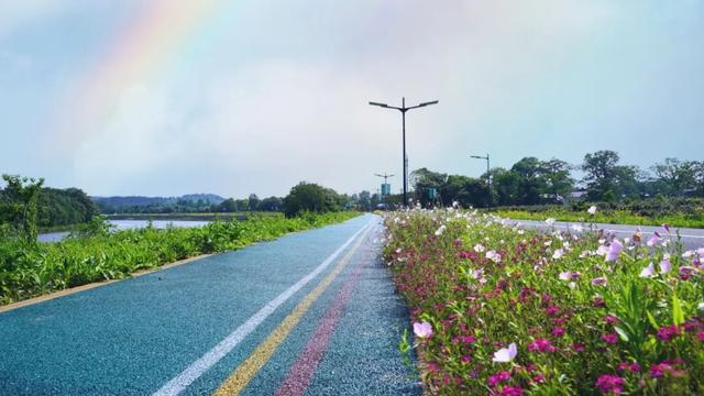 环鄱赛泰和站：109公里赛道上的人文自然交响