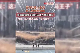 白马驮君入急流，救人何惧险滩幽，小哥在仙桃身骑白马冲入寒江救人图片
