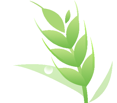 【双百行动】 AI赋能，教育出新！龙川首场AI教学应用培训走进维嘉学校