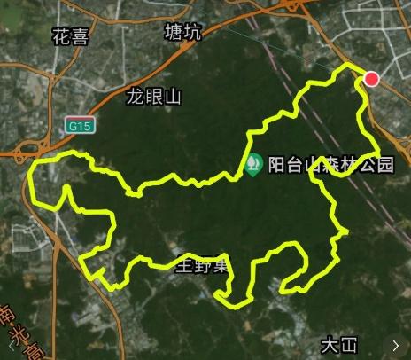 深圳版“策马奔腾”已上线！网友：会玩，求加入