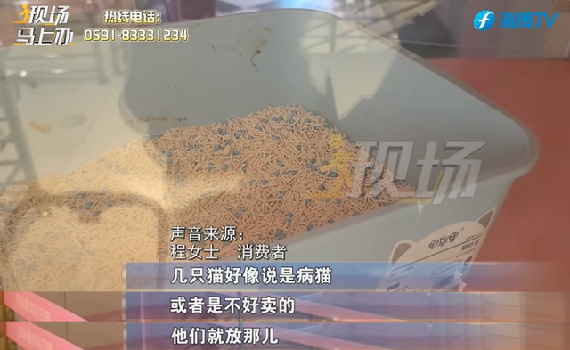 宠物店连夜关门，店内还有猫狗无人照顾？