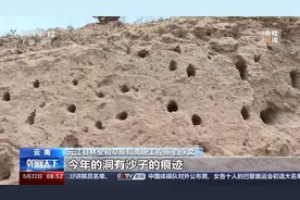 黑鹳、栗喉蜂虎……飞行技巧高超的鸟类在这里安家图片