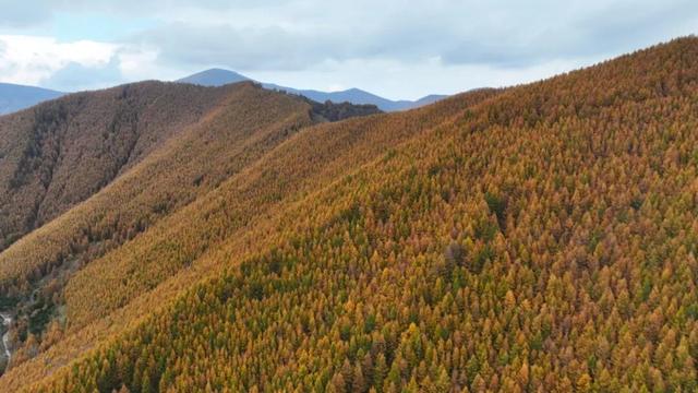 金秋五台山 醉美山色入画来