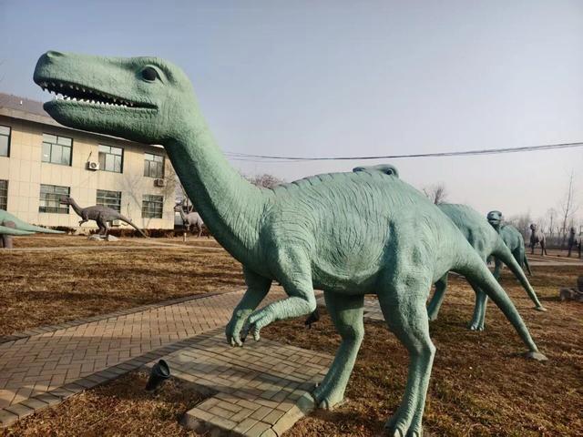 揭秘！青兰高速诸城服务区为何能成旅途中的“神秘打卡地”？