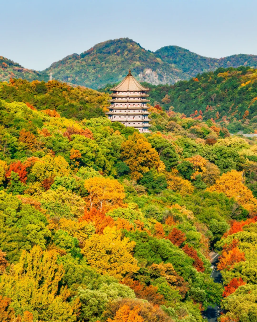 已实施限流！西湖边著名景区突然爆火，天天围满人！大家统一动作，紧急提醒......