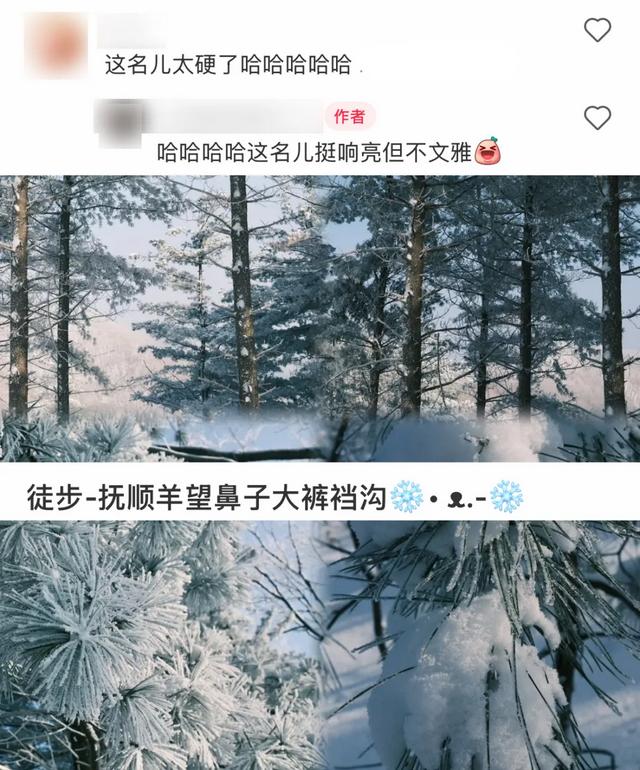 东北“屁股沟”,成了年轻人的瑞士平替