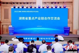 湖南重点产业链合作交流会在深发布202个投融资项目图片