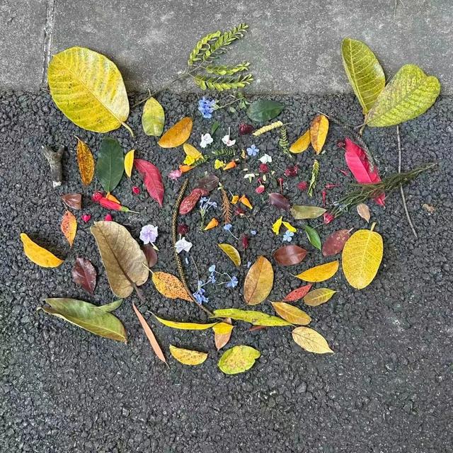 收藏这篇就够了！本地人私藏的广州逛吃指南