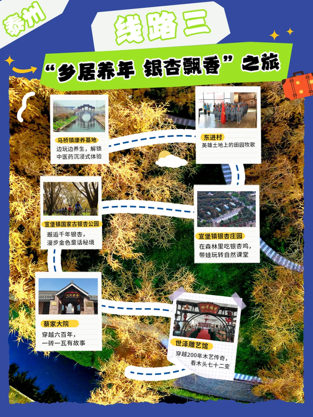 赶海、赏菊、品蟹……这10条乡村旅游线路玩出不一样的“秋”