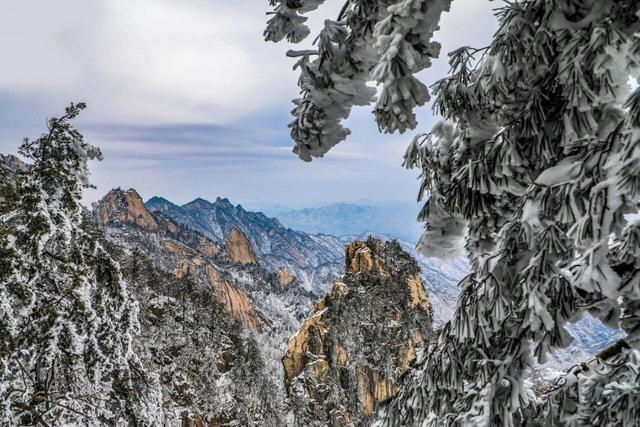 冬季限定｜尧山风景区门票半价啦！
