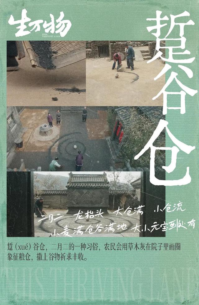 导演谈《生万物》：杨幂的表演很准确