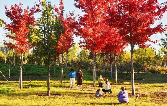 北京新添一个超美大公园！占地超300亩