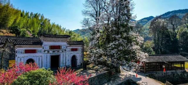 航旅融合 | 抽免费机票啦！快来解锁三明 “村游” 奇遇记