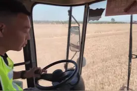 陕西：风吹麦浪 夏收启幕图片