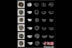 植物考古研究分别揭示广西福兰、江西岸遗址史前人类生活方式图片