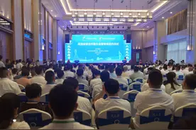 37．6亿元！罗城在第21届东博会期间成功签约6个项目图片