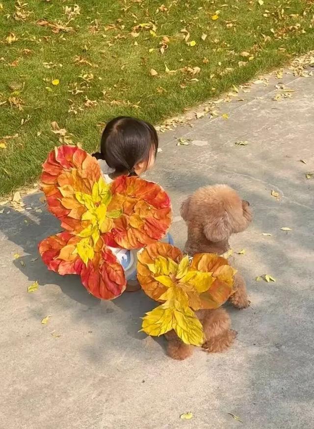 “银杏伞”火出圈！网友：不建议推广，因为我没有