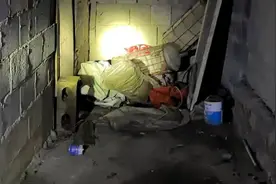 师宗一群众屋内爬进一条2米长的眼睛王蛇，人都吓懵了……图片