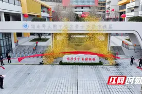 一校两址 湖南师大附中博才学士中学北校区今日揭牌图片