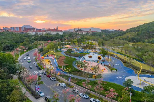 最美松湖｜秋冬花界“天花板”，快来这些地方赏异木棉