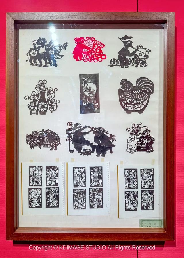 ​别再说深圳是文化沙漠！这份双馆暴走攻略，让你重新认识这座城市