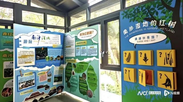 火热“上新”！南沙暑期镇街活动指南来了，承包你的整个夏天