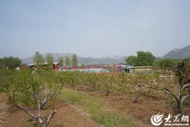 逛庙会，看产业丨吴村镇福田生态农业园探索农文旅发展新模式，争做实践教育基地“领头雁”图片