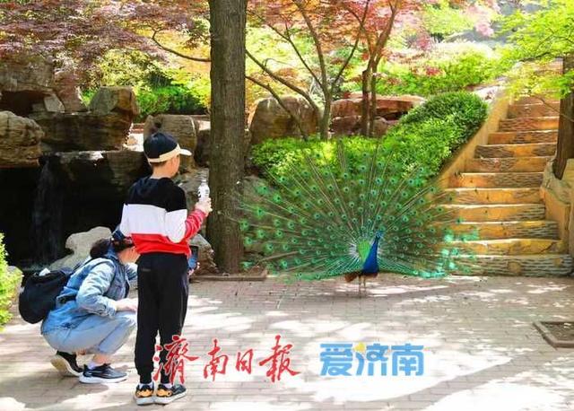 红叶谷第25届红叶节10月1日启幕