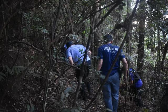 男子上山采菇迷路 民警救助