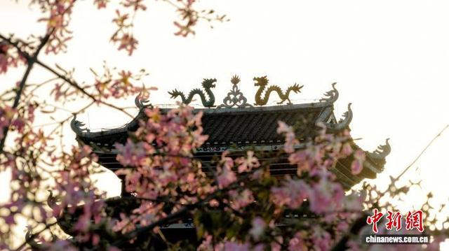 广西三江侗乡：花映廊桥美如画