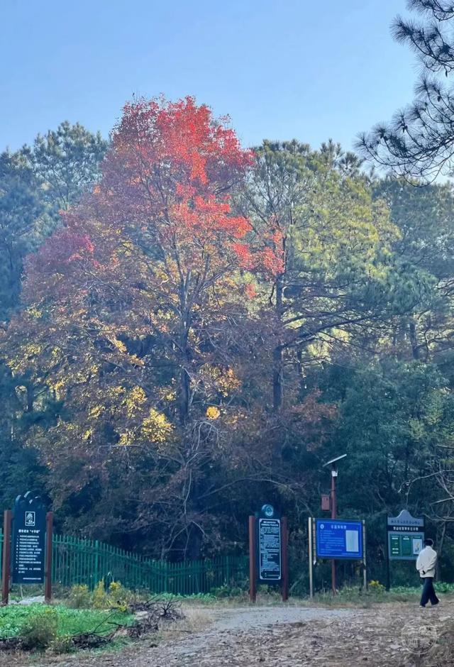 户外！户外！重要提醒