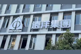 远洋集团：前8个月销售401亿元，债务展期方案均获通过图片