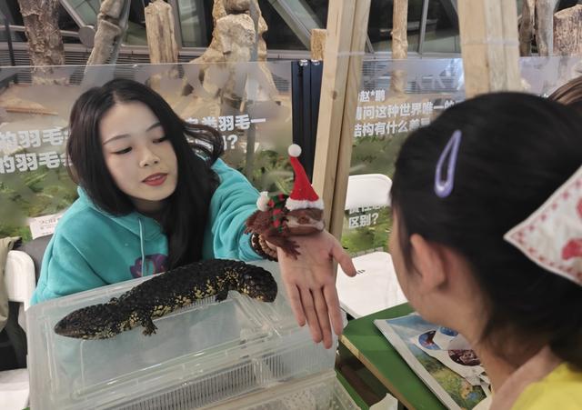 趣玩自然博物馆之夜