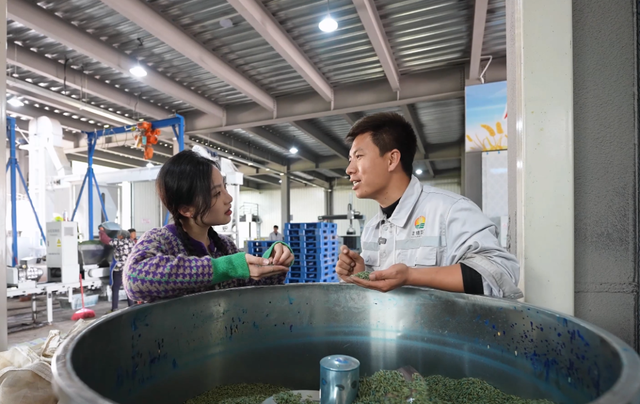 遇见西充，更遇见你！《慕・遇西充》公众号正式上线