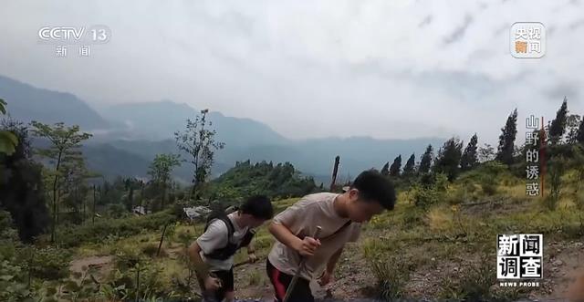 新闻调查丨户外探险事故频发 如何规范管理“越界”行为？