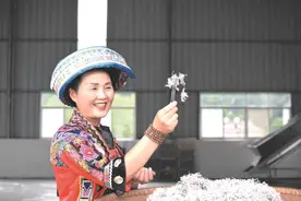 90后海归将妈妈打造成直播网红 线下线上一年卖藤茶3000余万元图片