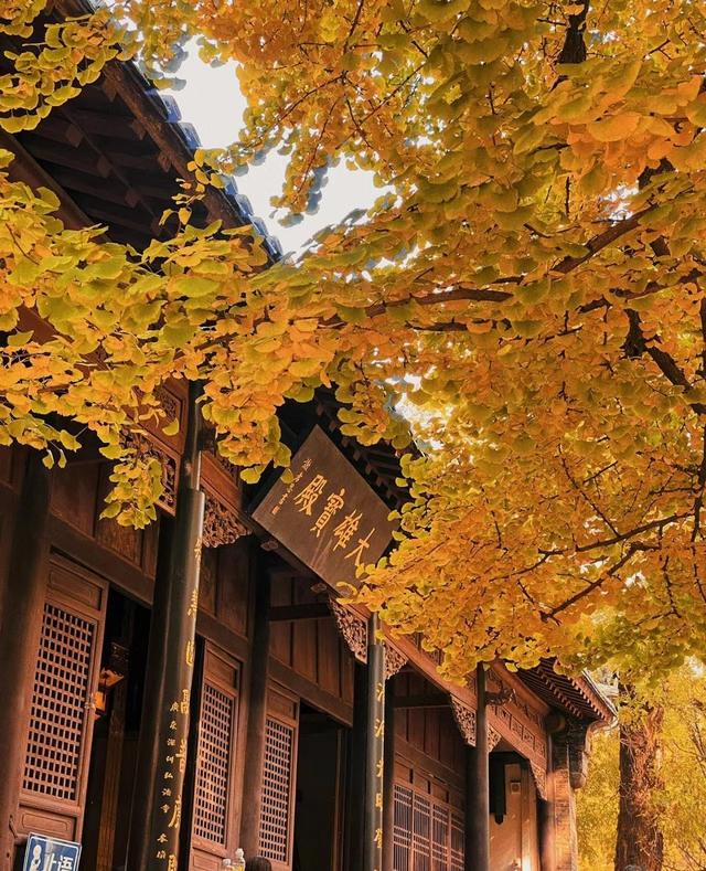 转型综合消费、追求情感共鸣，山东传统景区“周期切换期”这样逆势翻盘→