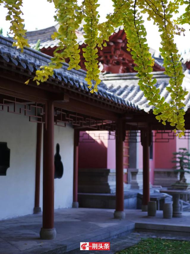 故宫同款秋色，惊艳了荆州