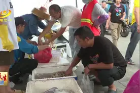 争尝“头口鲜”！阳江首批渔获上岸，游客：价格很亲民图片