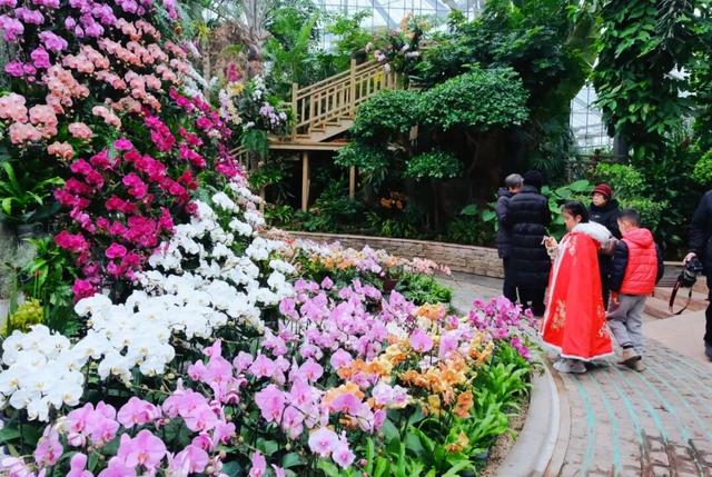 气温直冲20℃！第一波赏花的人已出发