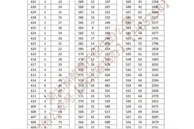 湖北省2024年体育类一分一段统计表来了！图片
