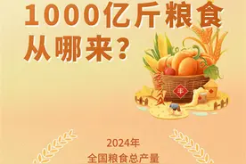 图解丨1.3万亿→1.4万亿 1000亿斤粮食从哪来？图片