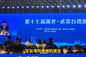 台湾苗栗县县长钟东锦：普通话闽南话客家话，都是中国话图片