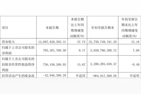 中天科技：2023年前三季度净利润26.60亿元 同比增长7.68%图片