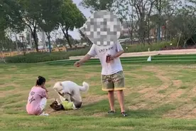 沪一男子遛狗不拴绳，反问“为何不把小孩拴起来”…警方出手了！图片