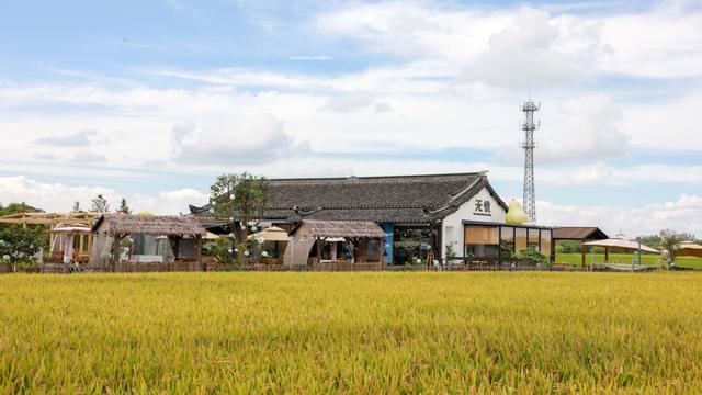成为沪上顶流“网红村”之后