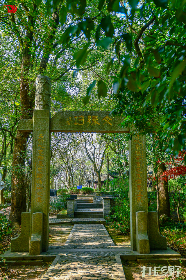 打卡乡野丨新年第一站，去上海离宇宙最近的村子，仰望星空，脚踏田野，开启元气新年